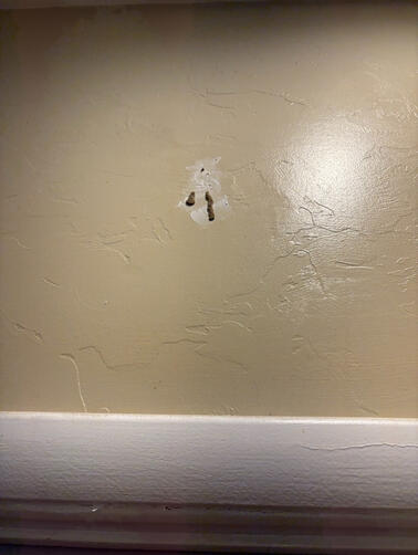 Termites found after two weeks. Termites found after two weeks.